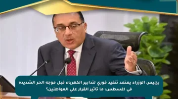 رئيس الوزراء يعتمد تنفيذ فوري لتدابير الكهرباء قبل موجة الحر الشديدة في أغسطس: ما تأثير القرار على المواطنين؟